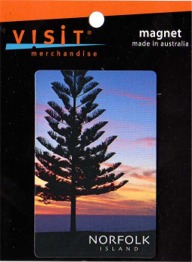 MagnetPine
